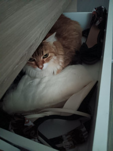 Photo de galerie - Garde à mon domicile 