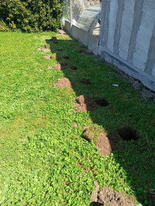 Photo de galerie - Paysagiste - Aménagement du jardin