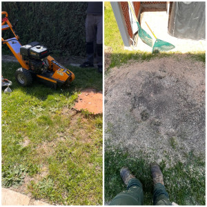 Photo de galerie - Rognage de souche 