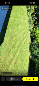 Photo de galerie - Toujours tonte de qualité avec entretien de pelouse arrosage manuel 