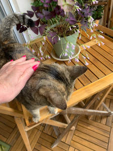 Photo de galerie - Garde de Maïa 