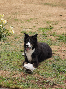 Photo de galerie - Jedi 11 ans