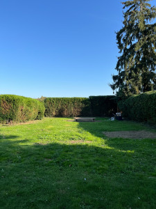 Photo de galerie - Taille de haies et d'arbustes