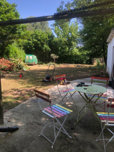 Photo de galerie - Tonte de pelouse - Débroussaillage