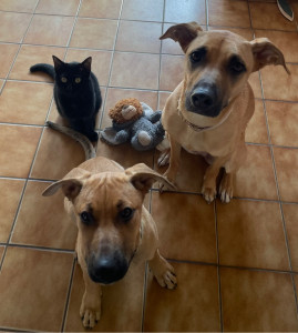 Photo de galerie - Kaï Zaya Charly