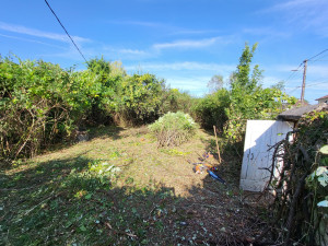 Photo de galerie - Tonte de pelouse - Débroussaillage