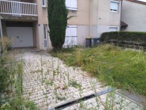 Photo de galerie - Tonte de pelouse - Débroussaillage