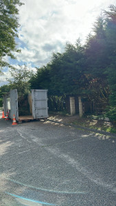 Photo de galerie - Taille de haies et d'arbustes