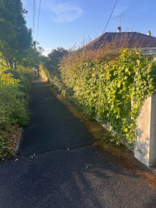 Photo de galerie - Paysagiste - Aménagement du jardin