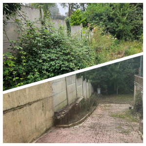 Photo de galerie - Tonte de pelouse - Débroussaillage