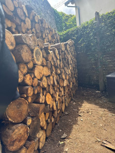 Photo de galerie - Ronge les bois 