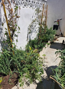 Photo de galerie - Jardinier