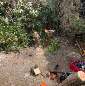 Photo de galerie - Jardinier