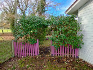 Photo de galerie - Taille de haies et d'arbustes