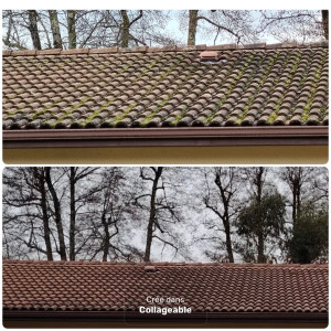 Photo de galerie - Couverture - Toiture