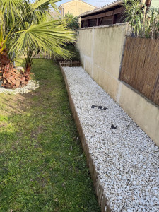 Photo de galerie - Tonte de pelouse - Débroussaillage