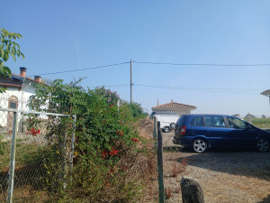 Photo de galerie - Taillage de rosier et débroussaillage