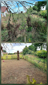 Photo de galerie - Avant apres 