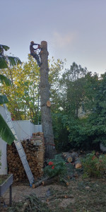 Photo de galerie - Démontage sur griffe