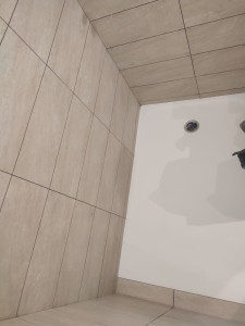 Photo de galerie - Rénovation de la douche 