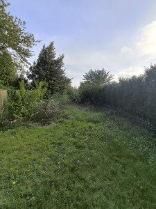 Photo de galerie - Tonte de pelouse - Débroussaillage