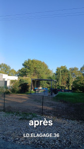 Photo de galerie - Elagage et coupe d'arbres