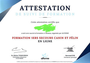 Photo de galerie - Attestation de formation aux premiers secours canin et félin obtenue en Novembre 2025.