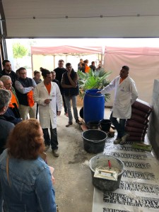 Photo de galerie - Formation pour les professionnelles aux enduits de la gamme Argilus 
