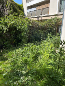 Photo de galerie - Avant 