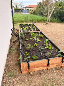 Photo de galerie - Création et mise en place d’un arrosage intégré pour pelouse. Mise en place d’un arrosage additionnel mobile pour le potager.