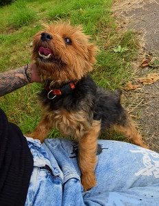 Photo de galerie - Garde à domicile 