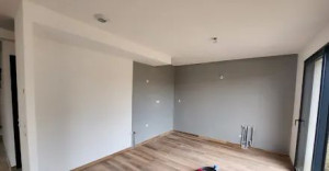 Photo de galerie - Peinture simple couleur simple 