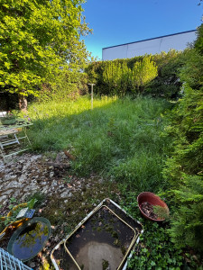 Photo de galerie - Tonte de pelouse - Débroussaillage