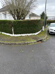 Photo de galerie - Élagage d’une haie