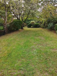 Photo de galerie - Tonte de pelouse - Débroussaillage