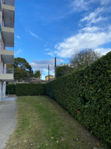 Photo de galerie - Taille de haies et d'arbustes