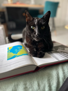 Photo de galerie - Garde chat