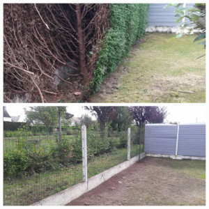 Photo de galerie - Taille de haies et d'arbustes