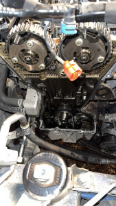 Photo de galerie - Distribution 