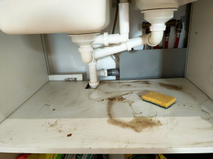 Photo de galerie - Avant 