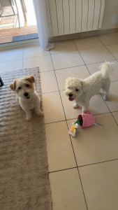 Photo de galerie - Passage à domicile 