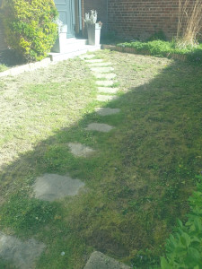 Photo de galerie - Paysagiste - Aménagement du jardin