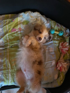 Photo de galerie - Urban bébé 21.11.23