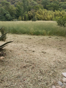 Photo de galerie - Debroussaillage   de terrains parcelles et collines 