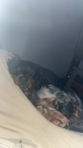 Photo de galerie - Bébé 