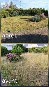 Photo de galerie - Tonte de pelouse - Débroussaillage