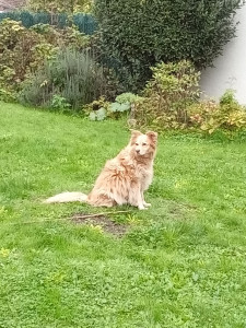 Photo de galerie - Lina tranquille dans le jardin