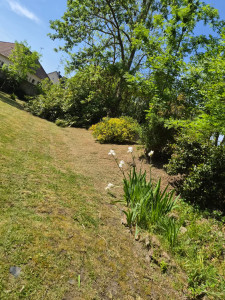 Photo de galerie - Nettoyage du Jardin :) debrouissailleuse plus tonte !! 