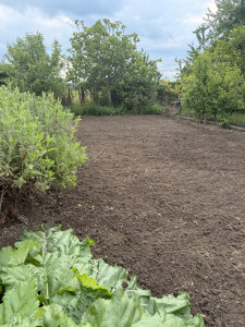 Photo de galerie - Remise au propre d’un potager (désherbage, bêchage,..)