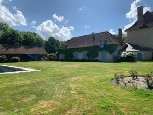 Photo de galerie - Tonte de pelouse - Débroussaillage